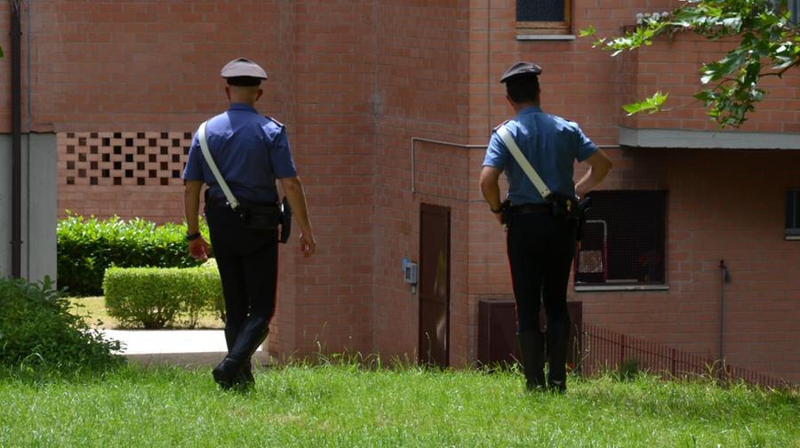 Pitbull randagio in un giardino di Guasila: la padrona si barrica in casa, il cane azzanna alla mano uno dei carabinieri intervenuti in soccorso