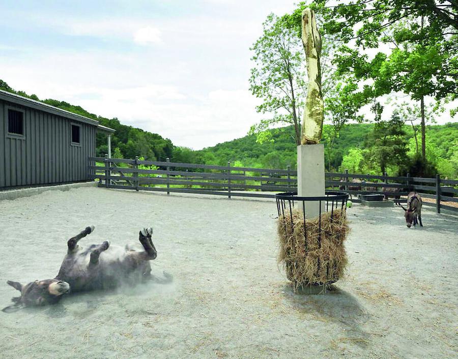 
	Gli asini sardi al Magazzino Italian Art. Foto di Alexa Hoyer per concessione di Magazzino Italian Art

