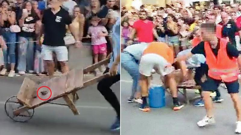 No alle rane, ma la sindaca dà l’ok. Palio della Granocchia, l’ira degli animalisti
