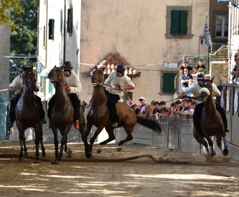 Palio di Castel del Piano, il dolore e la rabbia del Poggio. Astoriux finisce ko: corsa a tre