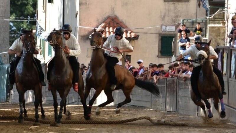 Palio di Castel del Piano, il dolore e la rabbia del Poggio. Astoriux finisce ko: corsa a tre