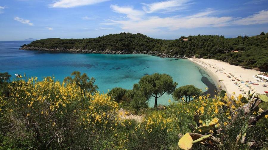 Spiaggia di Fetovaia