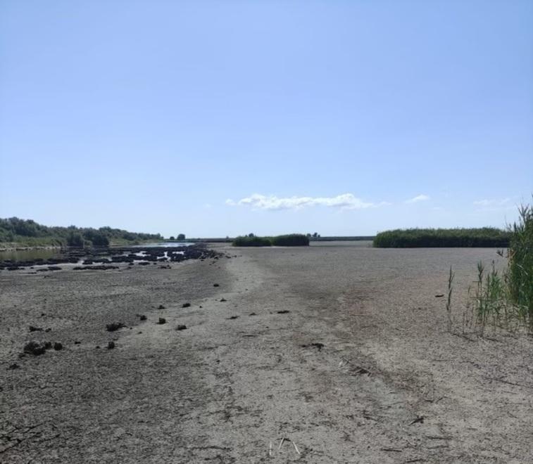 Oasi Zavelea prosciugata. Vallanti e pescatori su tutte le furie: «Servivano vasche per le anguille»