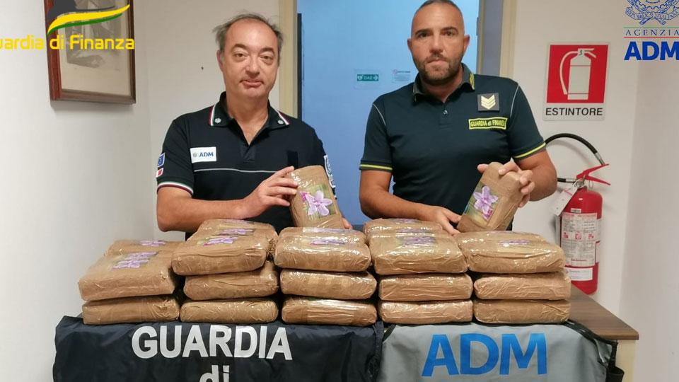 Livorno, mezzo quintale di cocaina nascosto in un  container di banane in porto - La ricostruzione