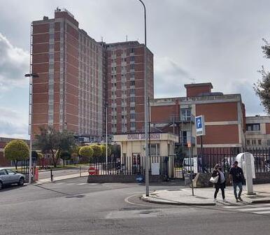 La presidente dei medici di Nuoro: «Tempistiche inaccettabili, ingeneroso attaccare il collega»