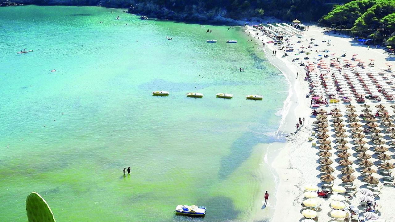 Cartelli e spiaggia svuotata a Fetovaia, ma in serata il giallo: «Valori nella norma». E Asa si smarca