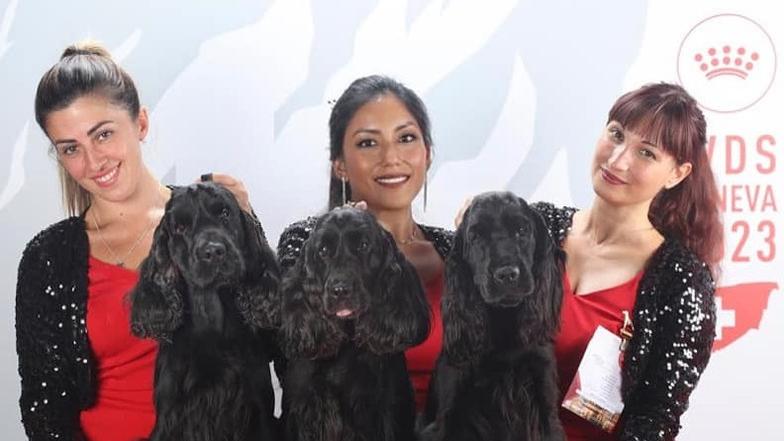 «Rollo, Blue e Dodò: i miei amati cocker diventati i più belli del mondo»