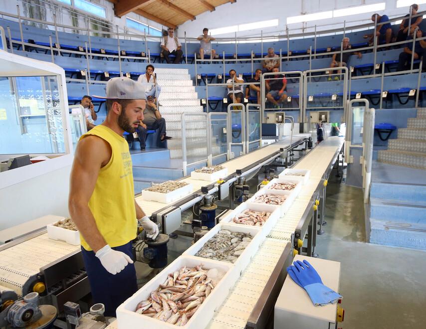 Porto Garibaldi, i pescatori tornano in mare. Ma l’orizzonte appare nero