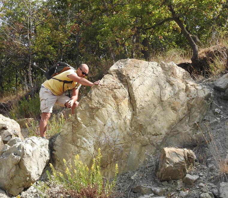Pesci abissali di 130 milioni di anni fa colonizzarono il nostro Appennino