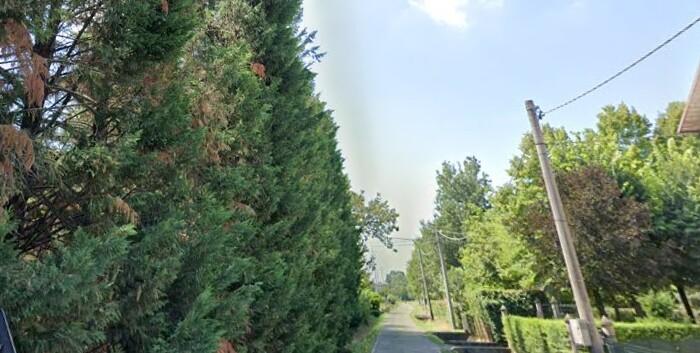 Carpi. A Fossoli strade colabrodo: «Si chiude via Pola Esterna»<br type="_moz" />
