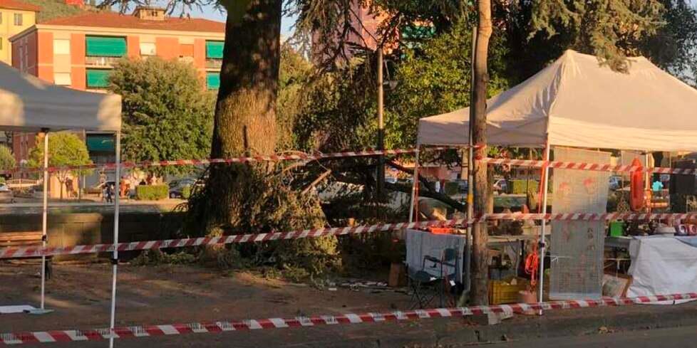 Pescia, ramo cade e sfiora una donna