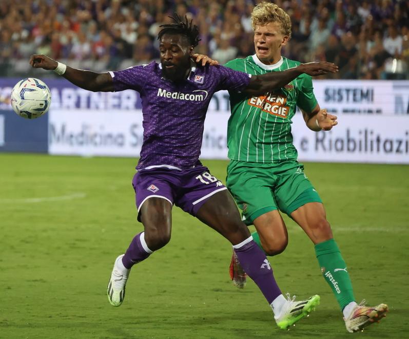 Fiorentina, Nzola a digiuno di reti. Italiano: «Si sbloccherà» 