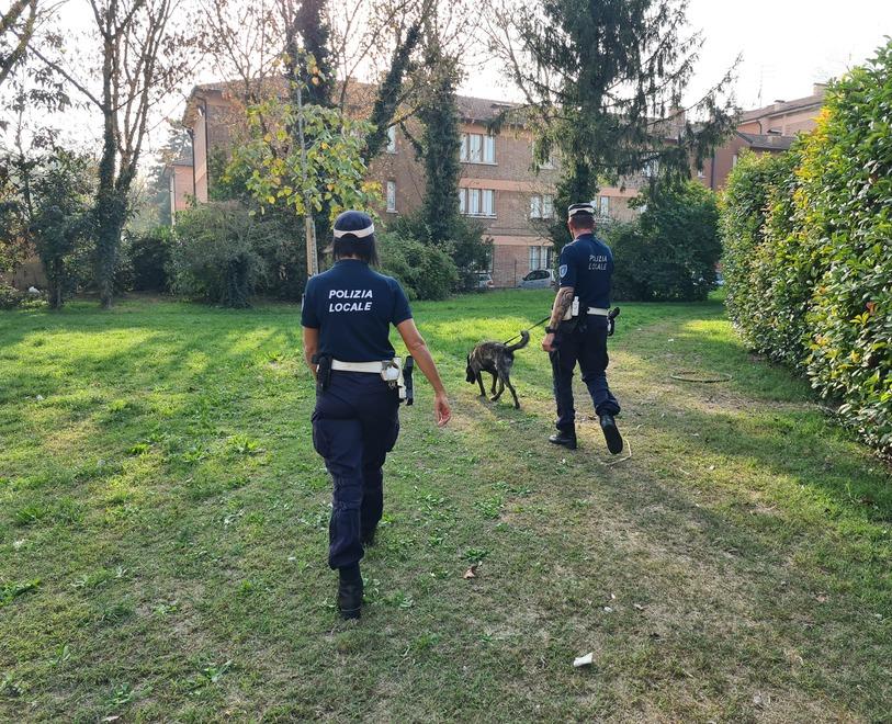 Ferrara, rincorrono la scippatrice che poi viene bloccata