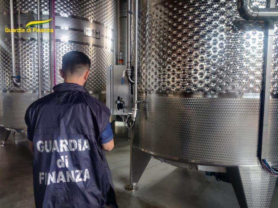 Sassari, falsi vini Doc prodotti nel Nord Sardegna: la frode è milionaria