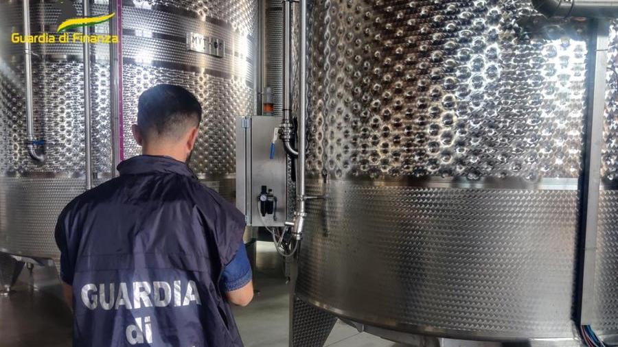 Sassari, falsi vini Doc prodotti nel Nord Sardegna: la frode è milionaria