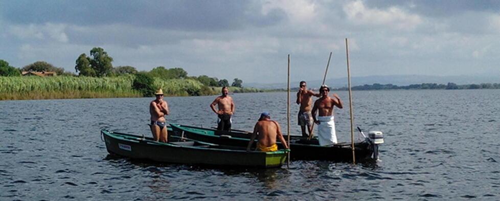 Orbetello, La Cooperativa Dei Pescatori Prosciolta Dalla Corte Dei ...