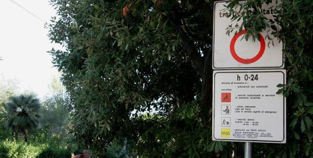 Ztl, a Castiglioncello le multe sono dimezzate: il report dell’estate