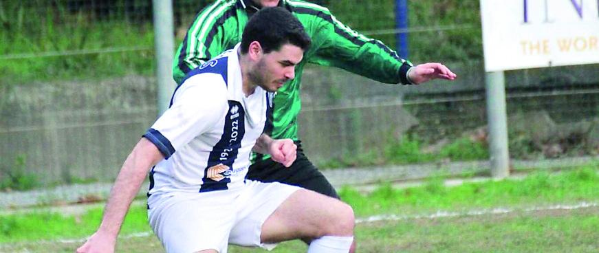 Rosignano, altri quattro nuovi innesti