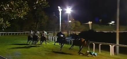 Livorno, fantino cade dal cavallo. Paura nella quinta corsa al Caprilli