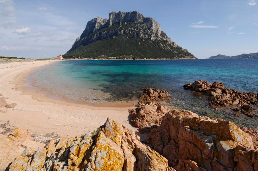 
	L&rsquo;isola di Tavolara vista da Spalmatore di terra

