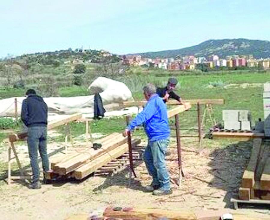 Terra, sudore e quaranta volontari: rinasce la vigna di Grazia Deledda
