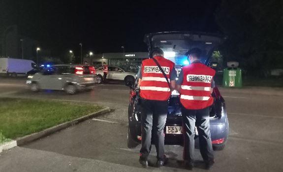 Bondeno, 23enne sorpreso con 11 piante di marijuana: denunciato