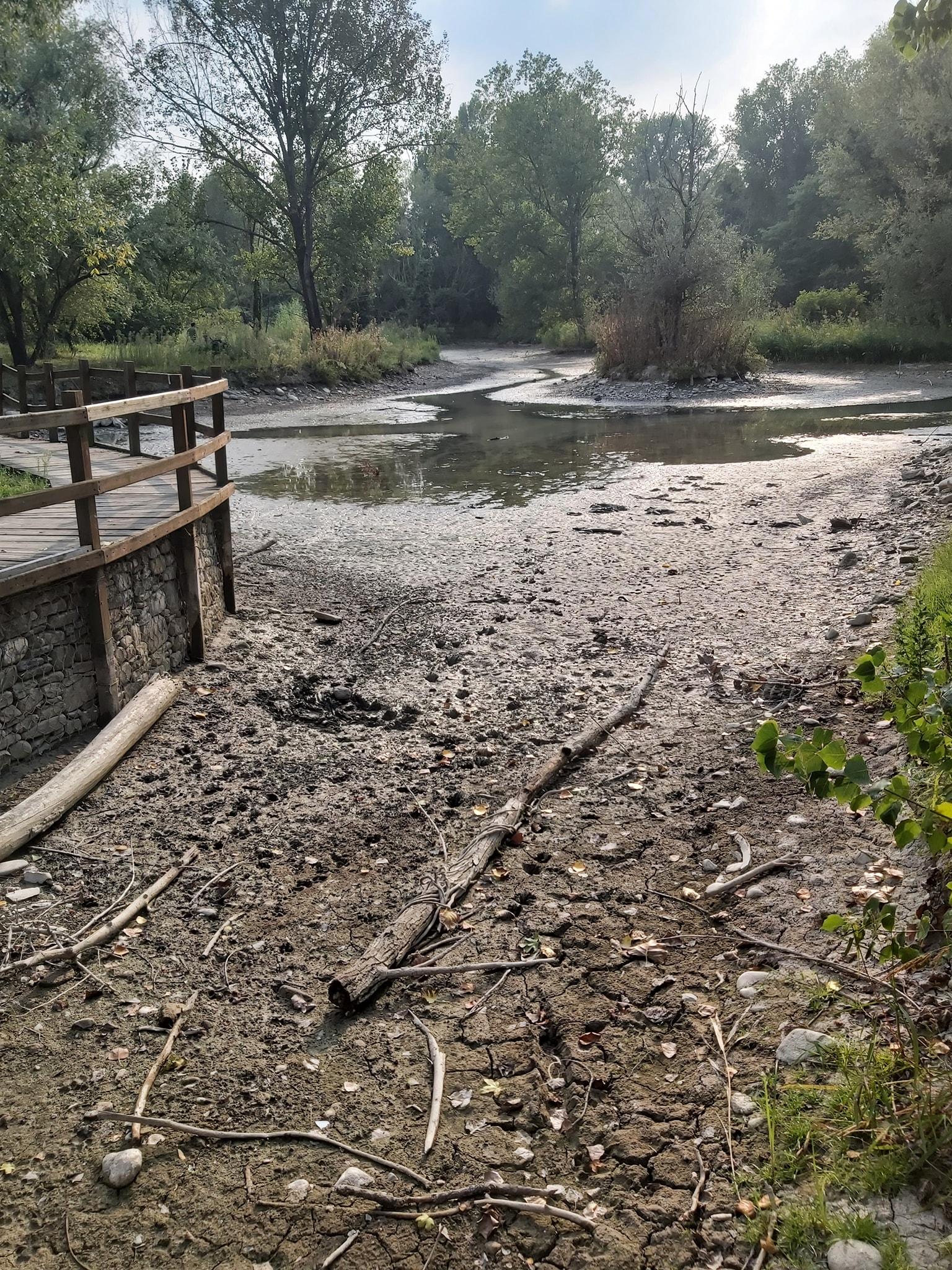 «Il parco sul Secchia è uno schifo, una volta era un vanto per Sassuolo»<br type="_moz" />
