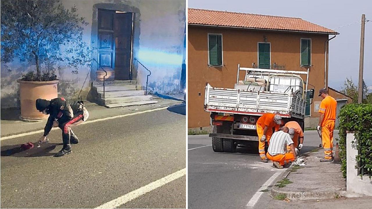 Scansano, morì travolta sulle strisce pedonali: dopo 2 anni arrivano gli autovelox