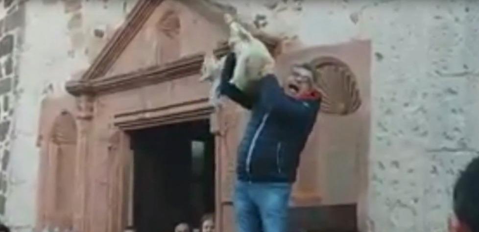 La pm: «Non maltrattò gli agnelli durante l’asta di Sant'Antonio a Sedilo»