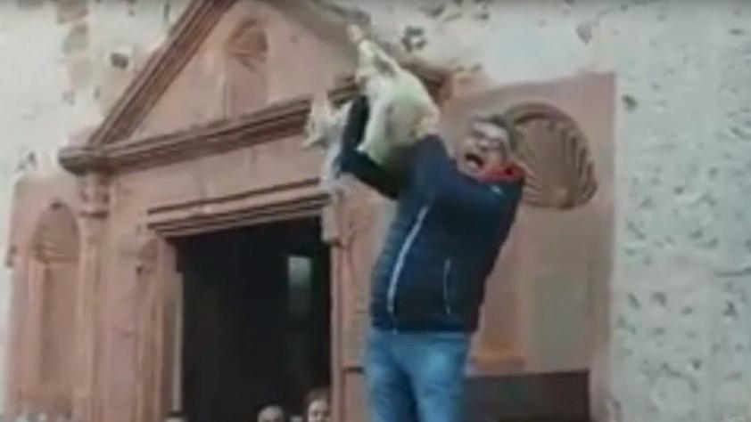 La pm: «Non maltrattò gli agnelli durante l’asta di Sant'Antonio a Sedilo»
