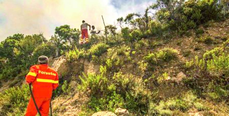 Forestas, vittoria di 14 precari: la Corte d’appello li stabilizza