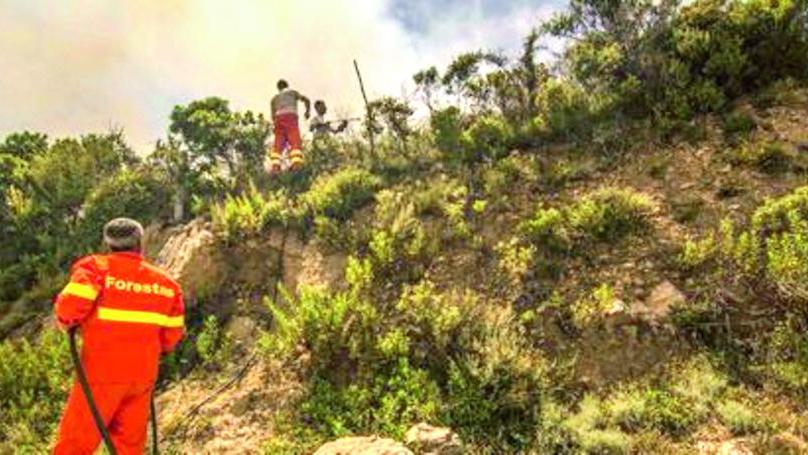 Forestas, vittoria di 14 precari: la Corte d’appello li stabilizza