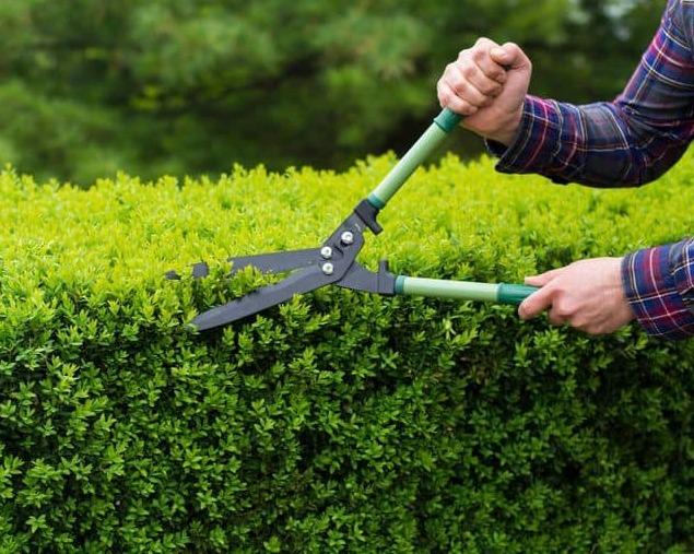Firenze, bando per assumere 7 giardinieri. Posti disponibili in più Comuni: ecco dove e i requisiti richiesti