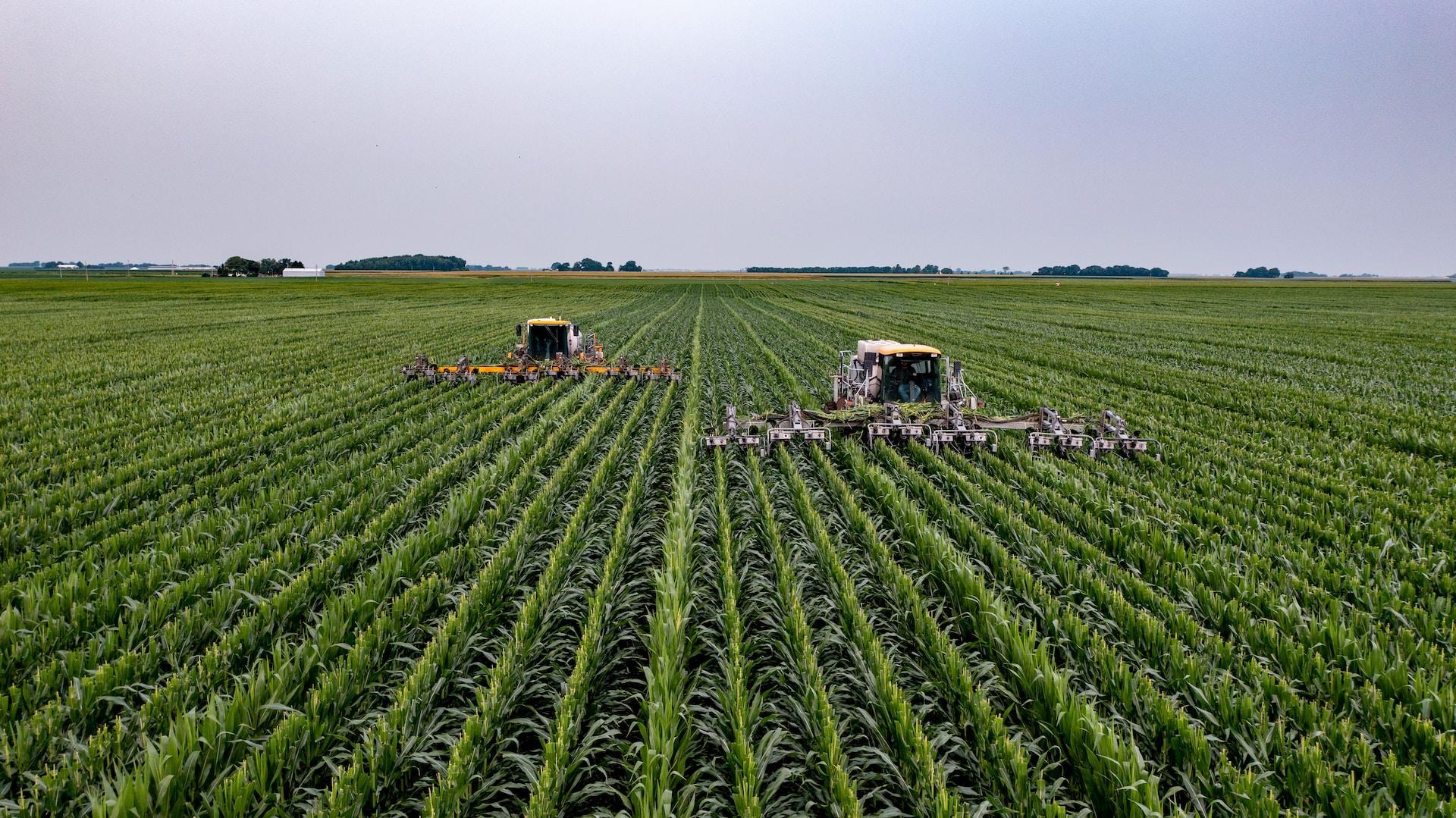 Ecco l’agroinflazione 