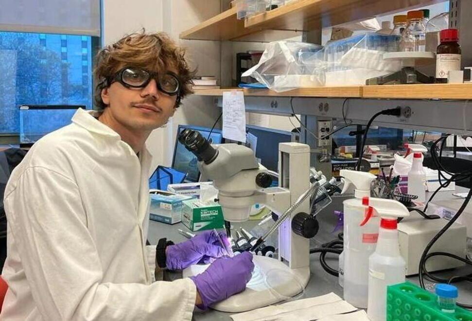 Lo scienziato livornese delle zanzare: «Ecco cosa pensano quando ci pungono»