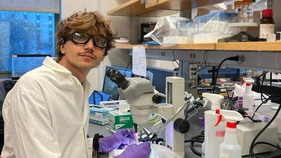Lo scienziato livornese delle zanzare: «Ecco cosa pensano quando ci pungono»