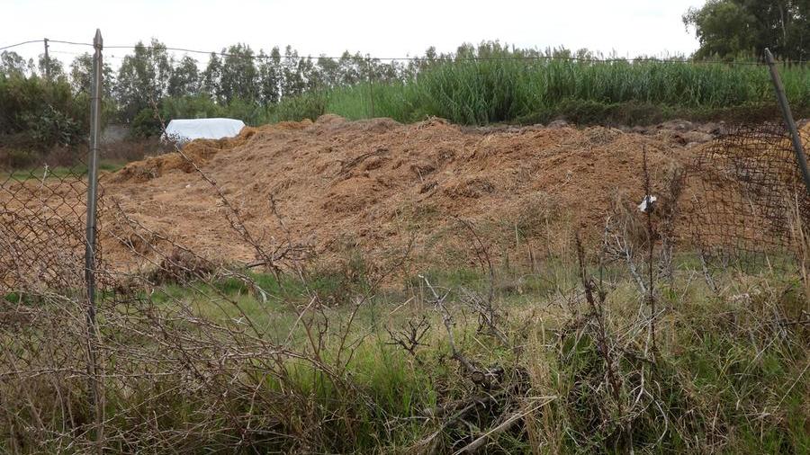 Parte del letame accumulato in un terreno della Società Oristanese di Equitazione