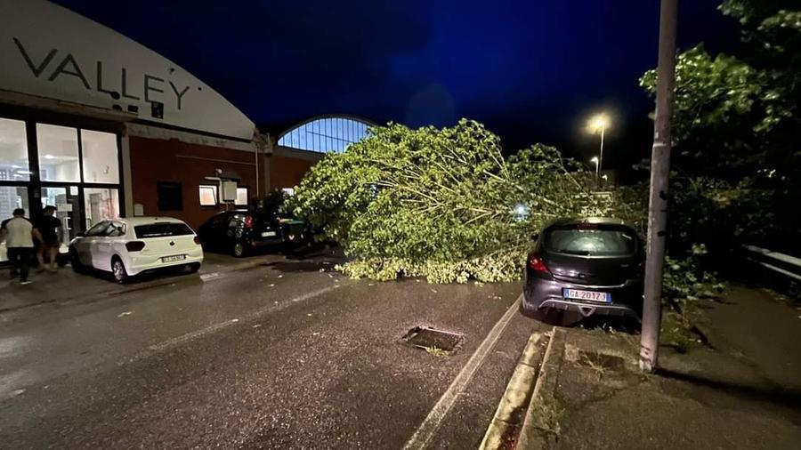 Albero cade davanti alla palestra