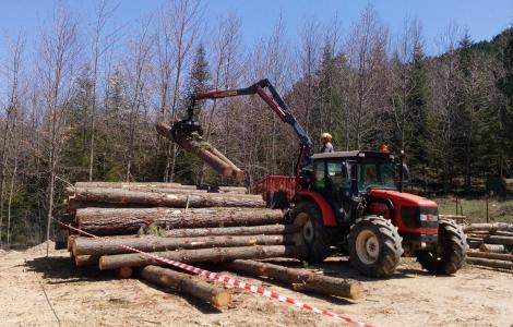 L’Inps presenta il conto a Forestas: «Restituisca 34 milioni di euro»