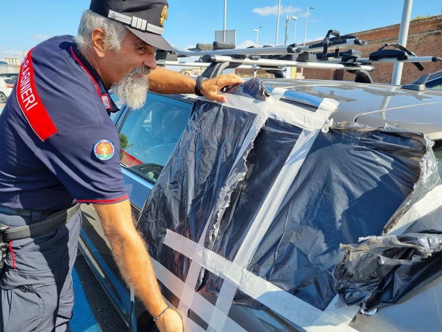 
	I carabinieri dopo la liberazione dell'uccellino

