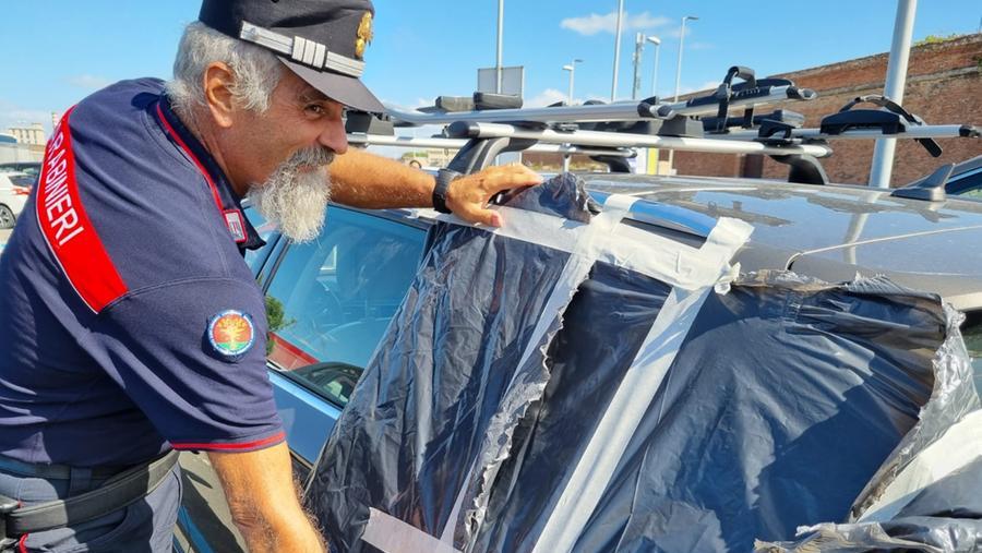 I carabinieri dopo la liberazione dell'uccellino