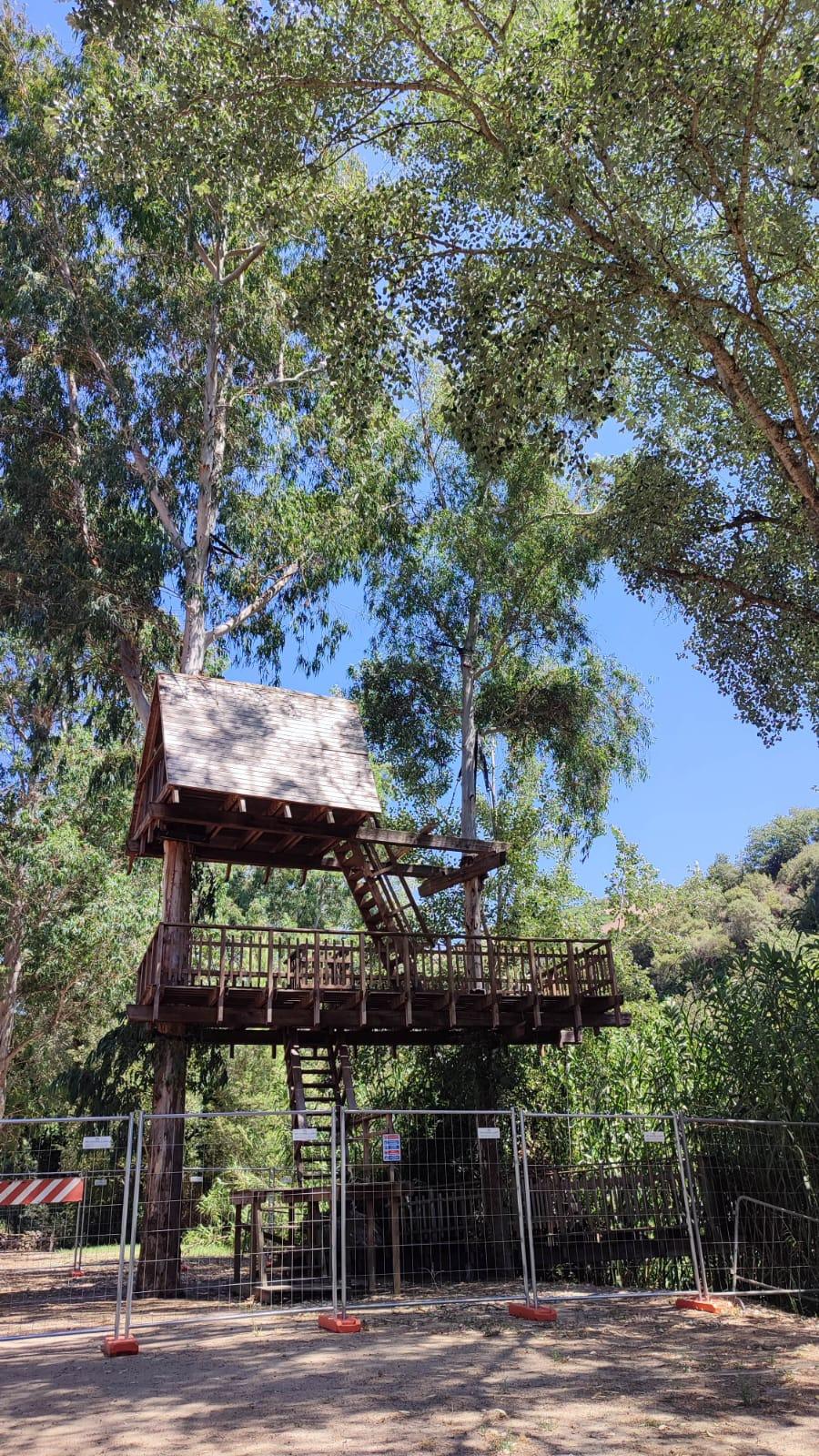 
	La casa sull'albero ad Allai

