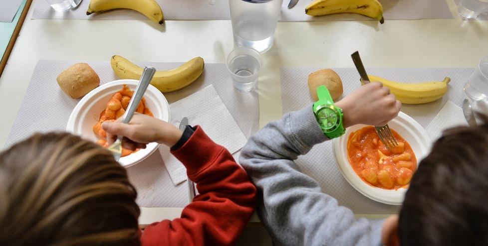 Sassuolo. La denuncia: «Capelli, ciglia e glitter nel cibo servito nelle mense scolastiche»