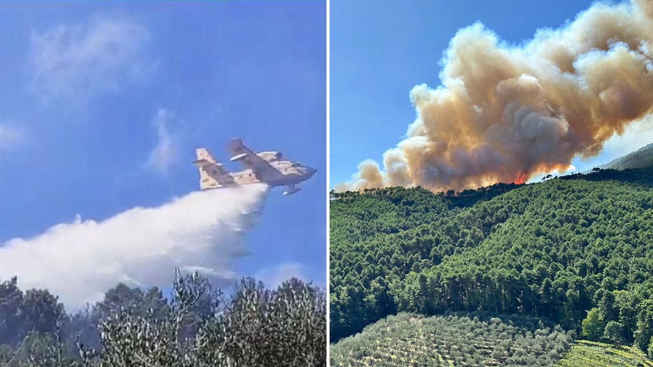 A sinistra un lancio d’acqua di un Canadair. A lato le fiamme sul crinale del bosco