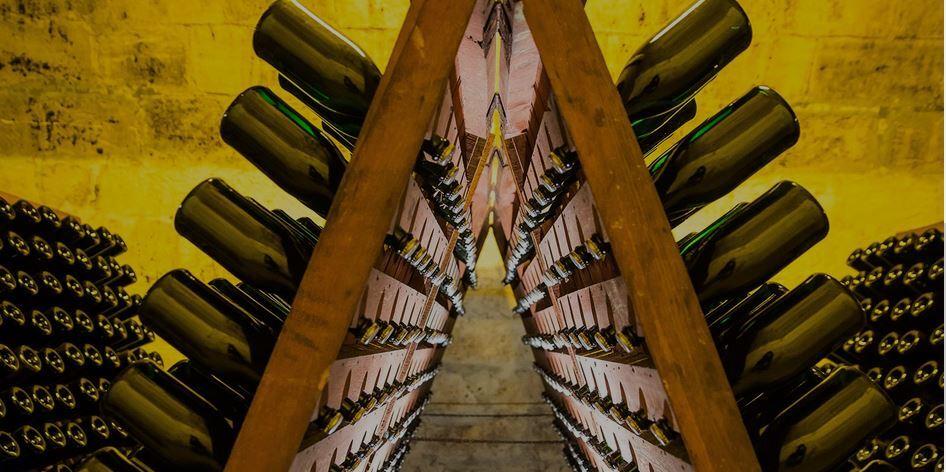 Enologica, da sempre al fianco dei produttori di vino