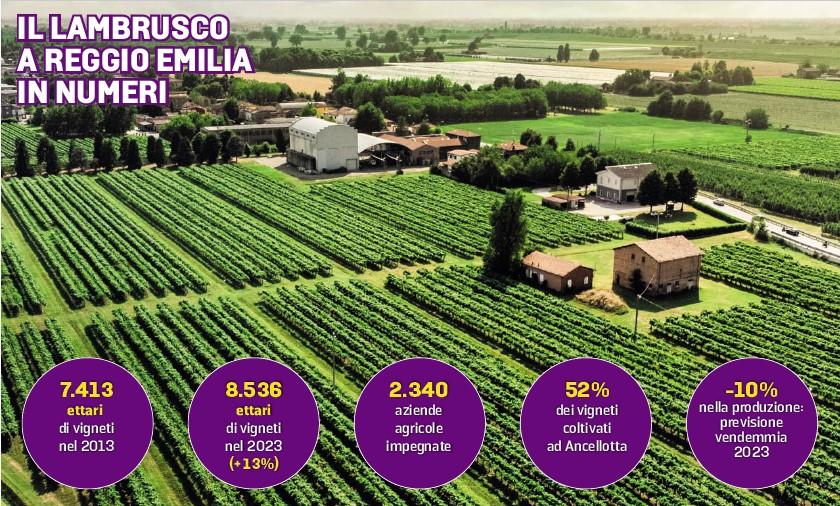 Il Lambrusco e l’operazione “Bollicine”