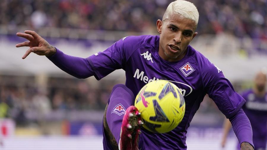 
	Il difensore brasiliano della Fiorentina Dod&ograve;&nbsp;

