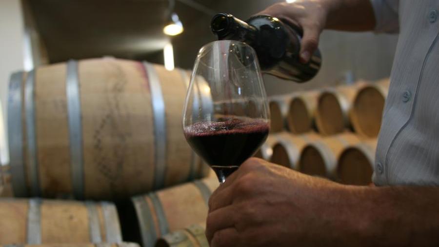 Il Gambero Rosso premia l’isola: 17 vini con i tre bicchieri