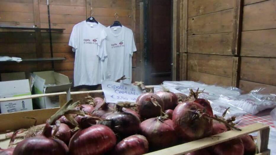 Certaldo e la cipolla, un connubio che porta anche posti di lavoro