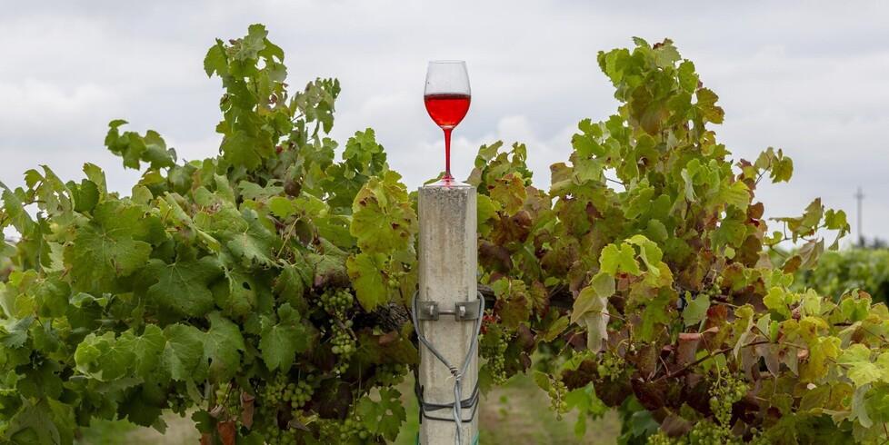 Piccoli borghi ed enogastronomia: le perle del turismo in autunno